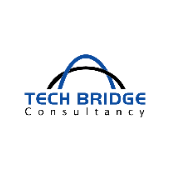 Tech Bridge consultancy 